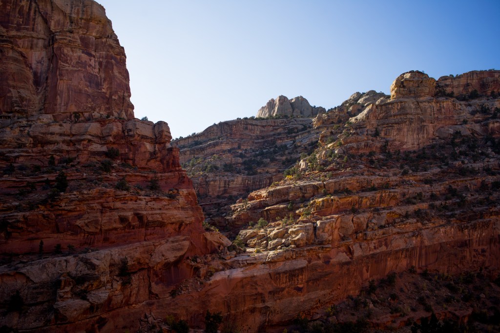 A break in shear redrock cliffs covered in sparse green bushes. Morning light pours between the rocks lighting the rock wall on the right side.